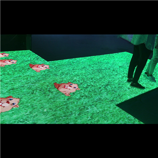 Interactive floor dance led screen